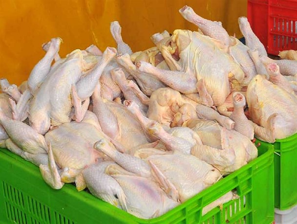 چرا مرغ درگیلان گران شد؟!