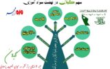گیلان جزو ۴ استان برتر در حوزه سوادآموزی