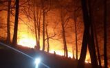 ۱۰ هکتار از جنگل های اشکورات رودسر در آتش سوخت/ مهار آتش ادامه دارد