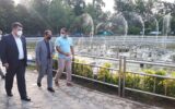 راه اندازی فاز تکمیلی آب نمای موزیکال بوستان ملت در عید سعید غدیر