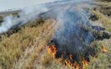 گشت های ویژه یگان محیط زیست برای جلوگیری از آتش زدن کاه و کلش