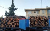 کشف و ضبط ۱۱ تُن چوب جنگلی قاچاق در رودبار