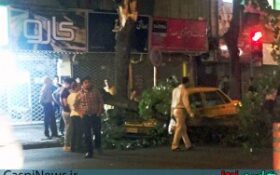 سقوط یک درخت بر روی خودروی تاکسی در رشت + تصاویر