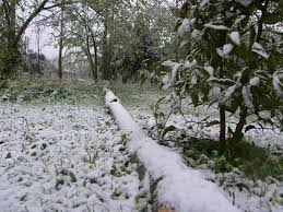 خسارات برف در استان گیلان به ۸۹ میلیارد تومان رسید