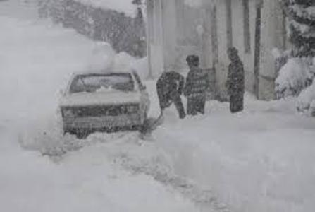 بیش از ۱۳۰ نفر در گیلان به دلیل حوادث ناشی از بارش برف آسیب دیدند