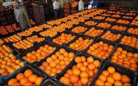 تأمین بیش از 1100 کیلو میوه شب عید برای گیلان
