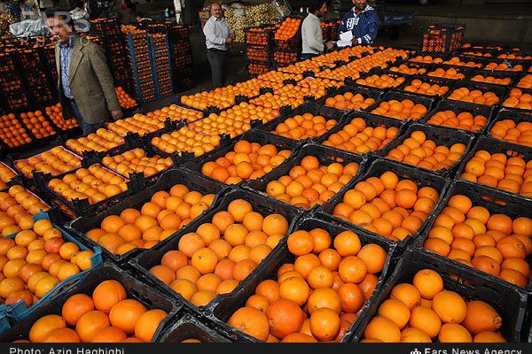 ۵۲ مرکز در استان گیلان میوه‌های شب عید را توزیع می‌کند