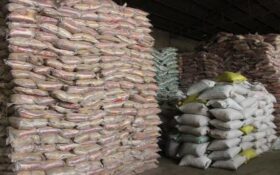 باید وزیر جهاد کشاورزی در زمینه واردات بیش از نیاز برنج پاسخگو باشد