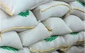 ۵۰۰ تن برنج خارجی قاچاق در استان گیلان کشف شد
