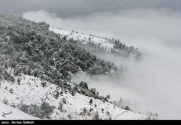 ارتفاعات ۴ استان کشور سفید پوش می‌شود/وزش باد شدید در ۷ استان