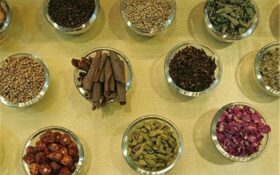 ۱۵۰ نوع گیاه دارویی در استان گیلان شناسایی شد