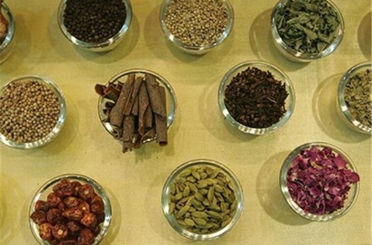 ۱۵۰ نوع گیاه دارویی در استان گیلان شناسایی شد