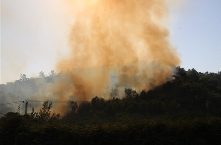 آتش‌سوزی باغات لنگرود به مناطق جنگلی سرایت نکرد
