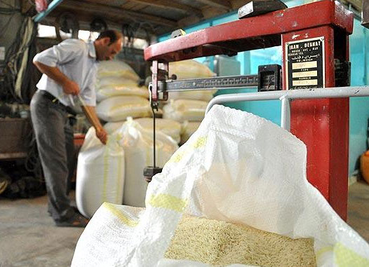 نرخ خدمات شالیکوبی کارخانجات برنج گیلان اعلام شد/ نظارت تا ۱۰ آبان ادامه دارد