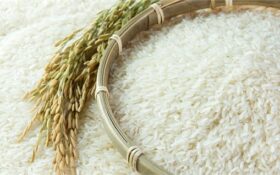 خرید توافقی برنج شالیکاران گیلان از فردا آغاز می شود