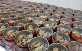 کشف حدود ۲ تن ماهی فاسد در آستارا