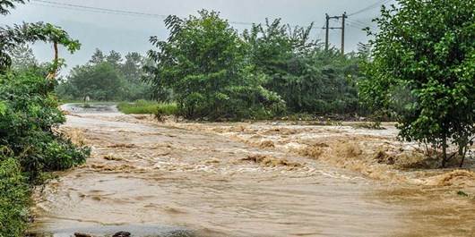 خسارت قابل‌توجه بارش باران در صومعه‌سرا و تالش/ اعمال محدودیت‌های ترافیکی تا قطعی گاز بیش از ۲۰۰ مشترک