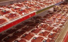 ۲۱۵ تن گوشت منجمد در گیلان توزیع شد