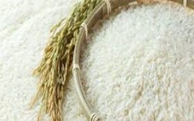 برنج ایرانی سالم و عاری از سموم است