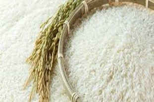 برنج ایرانی سالم و عاری از سموم است