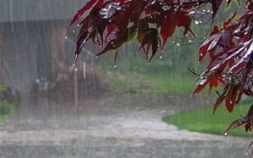بارش باران در گیلان/ دمای هوا ۴ تا ۸ درجه کاهش می یابد