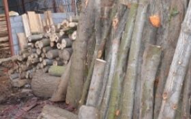 کشف محموله چوب جنگلی قاچاق در ماسال