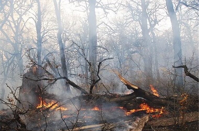بخش وسیعی از اراضی جنگلی عباس‌آباد آستارا طعمه آتش شد