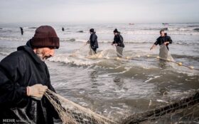 افزایش ۲۰درصدی صید ماهیان استخوانی در رودسر/ ۲۰۰ تن ماهی صید شد