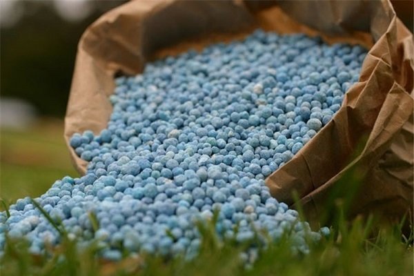 ۸۰ هزار تن انواع کود شیمیایی فصل زراعی جدید در گیلان توزیع می شود