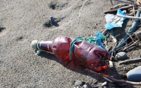 خطر پراکندگی و دپو زباله مسافران محیط زیست گیلان را به‌شدت تهدید می‌کند