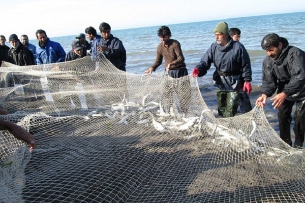 افزایش ۹۰ درصدی صید ماهیان استخوانی از دریای خزر