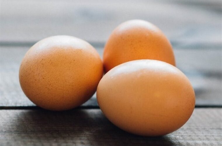 ۴ تن تخم مرغ فاسد در آستارا کشف شد