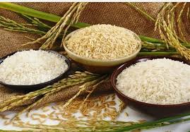 سود افزایش قیمت برنج در جیب کشاورزان نمی رود