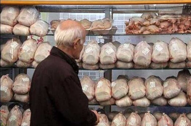 قیمت مرغ تا دو هفته آینده کاهش می‌یابد