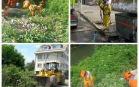 گزارش تصویری حوزه مدیریت خدمات شهری از هفته سیزدهم طرح پاکسازی هفتگی محلات شهر رشت