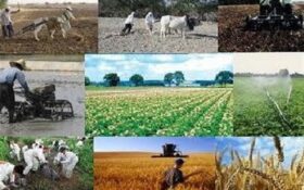 طرح «چند منبع درآمدی‌کردن روستاییان» در گیلان اجرا می‌شود