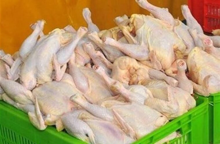 گوشت مرغ در گیلان ارزان‌تر از سایر نقاط کشور است