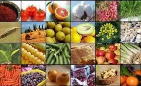 اجرای طرح تولید و مصرف ۴ محصول سالم کشاورزی در گیلان