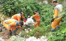 گزارش تصویری از هفته بیست و ششم طرح پاکسازی هفتگی محلات شهر رشت توسط مدیریت خدمات شهری