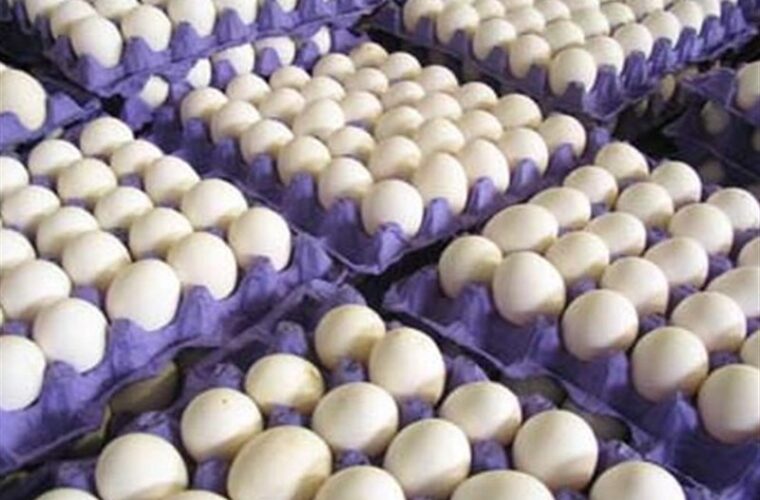 ۲۱۰۰۰ تن تخم‌مرغ سال گذشته در گیلان تولید و روانه بازار شد