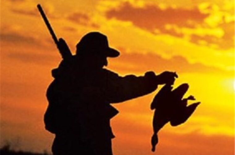 کشف ۶۰ قبضه سلاح از شکارچیان پرنده/هیچ مجوز شکاری در گیلان صادر نشده است