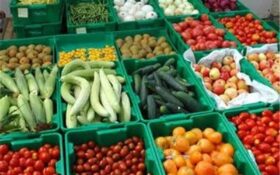 پایانه صادراتی محصولات کشاورزی شمال کشور در گیلان راه‌اندازی می‌شود