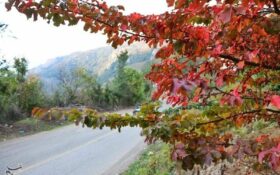 سمفونی رنگ‌ها در پاییز «اشکورات» گیلان به روایت تصویر