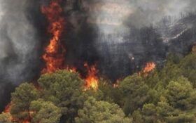 ۶۸ هکتار از جنگل‌های گیلان چرا در آتش‌ سوخت؟ ‌