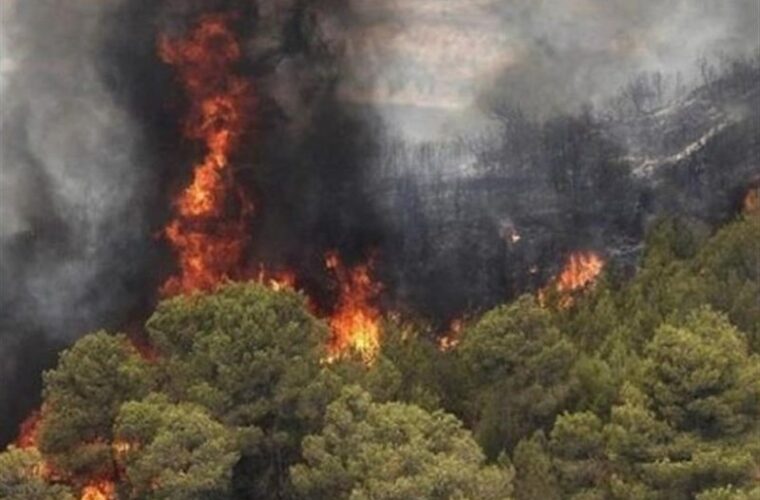 ۶۸ هکتار از جنگل‌های گیلان چرا در آتش‌ سوخت؟ ‌