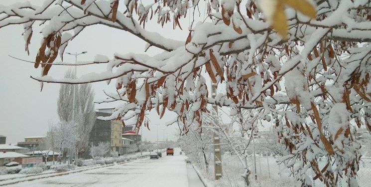 تخمین بارش برف ۲۰ تا ۷۰ سانتی‌متری در جلگه گیلان