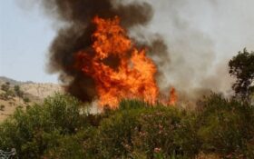 آتش‌سوزی در ۱۳ شهرستان گیلان؛ ۱۰۷ هکتار از جنگل‌های استان دچار حریق شد