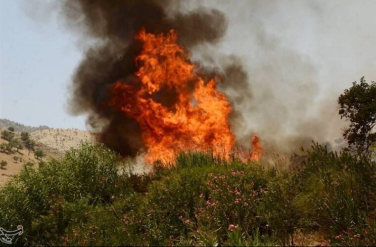 آتش‌سوزی در ۱۳ شهرستان گیلان؛ ۱۰۷ هکتار از جنگل‌های استان دچار حریق شد