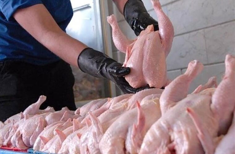 کوتاه شدن دست دلالان از بازار عرضه نهاده‌های دامی؛ کرونا مصرف مرغ گیلان را ۳۰ درصد کاهش داد