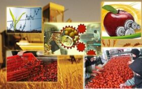 ظرفیت فرآوری محصولات کشاورزی گیلان به ۱.۷ میلیون تن افزایش یافت
